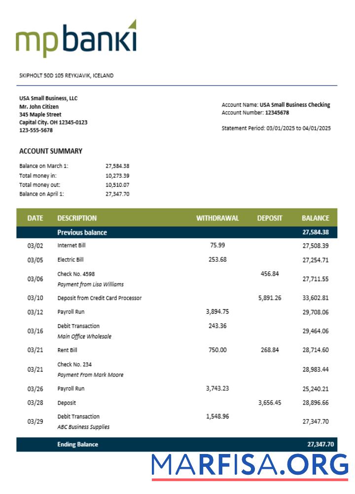 Blank MP firm account statement Word and PDF template